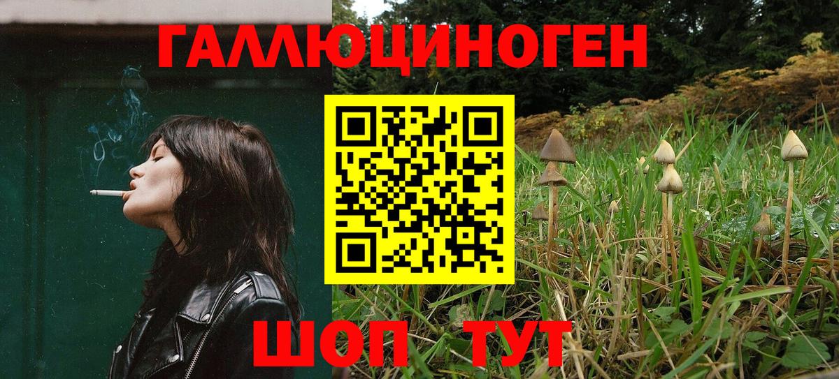 Юрга  магазин    Псилоцибиновые грибы мицелий  Вход с VPN  Галлюциногенные грибы Cubensis 